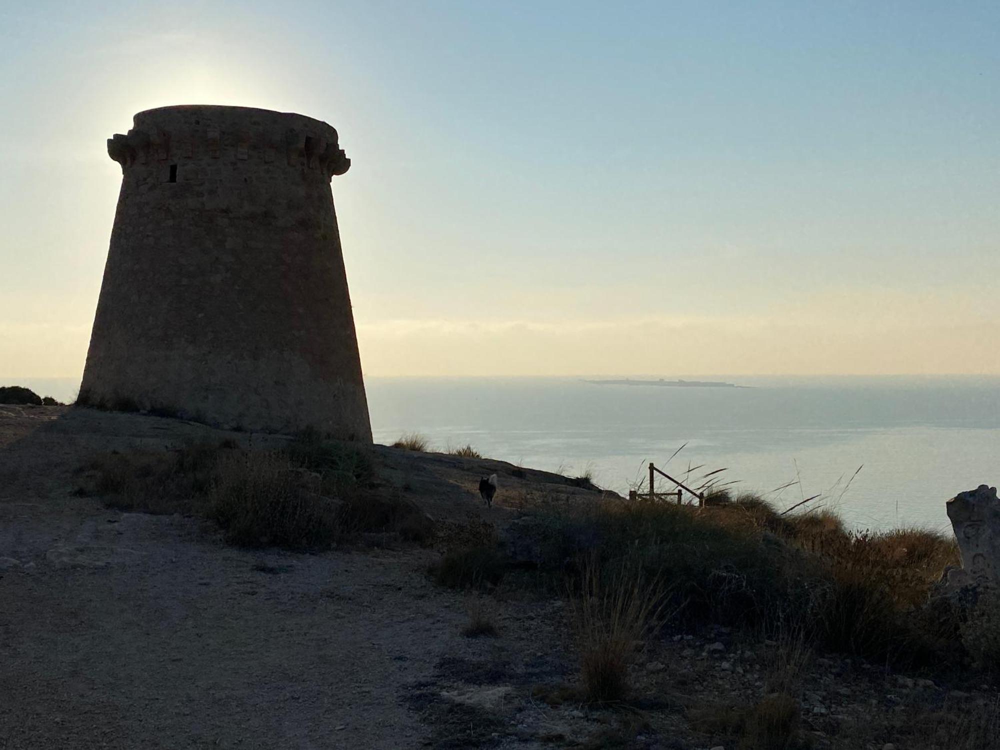 Petirrojo Villa Santa Pola Eksteriør billede