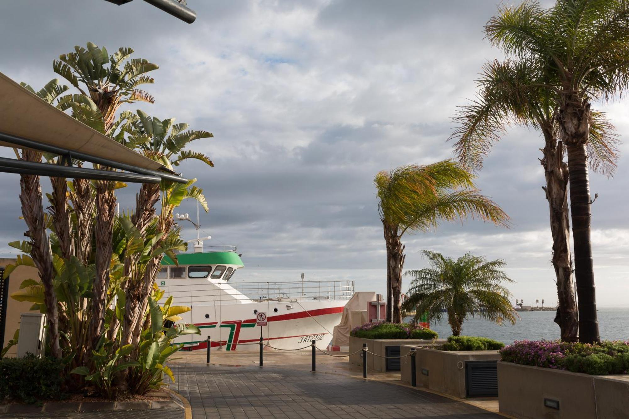 Petirrojo Villa Santa Pola Eksteriør billede